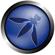 owasp